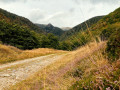 Le Hohneck par la vallée de la Wormsa