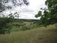 La vallée des Cailles