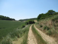 Boucle de Rouvres par la Vallée des Cailles et le Bois de la Ronce