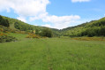 La vallée du Bonheur