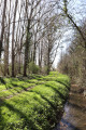 La vallée du Suin près de Tournon-Saint-Martin