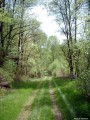 Chemin du Puy Blanc