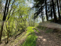 La vallée du Tourdesac
