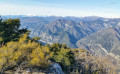 La vallée du Var vers le nord La vallée du Var vers le nord