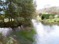 Les étangs et la forêt de Saint-Hellier