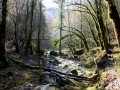 Les cascades de la Tuffière et du Raffenot