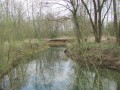 La Vence sous le couvert d'un petit bois