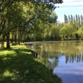 La Venise Verte : Damvix - Saint-Hilaire-la-Palud - Arçais
