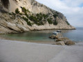 La Vesse