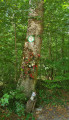 The Virgin of Chaligny (378 m)