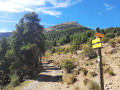 la voie de descente