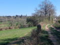 La voie romaine avec le clocher d'Ouroux en Morvan au loin