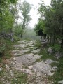 Sur les traces d'Astérix et Obélix Sur les traces d'Astérix et Obélix
