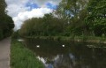 La voie verte le long du canal