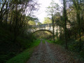 Boucle des forêts de Saint-Jean-de-Côle