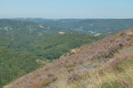 la vue du haut de Roquenière