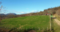 La vue est belle du haut de la première palombière.
