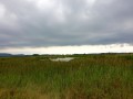 Boucle VTT à partir du Chemin d'interprétation du Grand Castelou