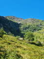 Le Lac Bleu