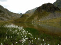 Lac Claret