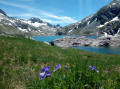 Lac Cottepens