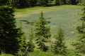 Lac Couvert