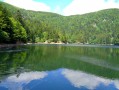 Lac d'Altenweiher