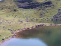 Lac d'Arlet