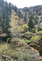 Lac de Fischboedle