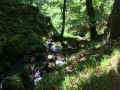 Ruisseau