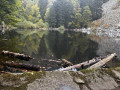 Du Hohneck vers trois lacs en passant par le Sapin de Kolben