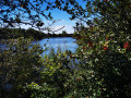 Lac de Graon