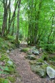 Lac de Guerlédan