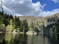 Lac de l'Altenweiher Lac de l'Altenweiher