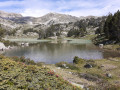 Lac de l'ïle