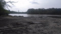 Le Lac de la Bordette en Forêt de Bouconne Le Lac de la Bordette en Forêt de Bouconne