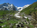 Langue du glacier