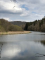 Lac de la Haute-Sûre et Pont Misère