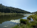 Tour du Lac de Lamoura via son belvédère et ses tourbières