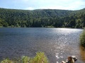 Lac de Longemer