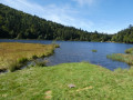 Lac de Longemer