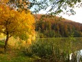 Lac de Lucelle Lac de Lucelle