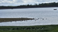 Barrage de Michelbach Michelbach dam