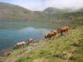 Lac de Montarrouye