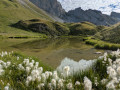 Lac de Peyre