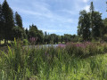 Lac de Seilhac