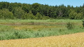 Lac de St-Léger