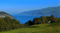 Spiez - Interlaken über den Panorama Rundweg Thunersee