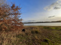 Tour du Lac de Vioreau