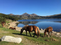 Lac des Bouillouses